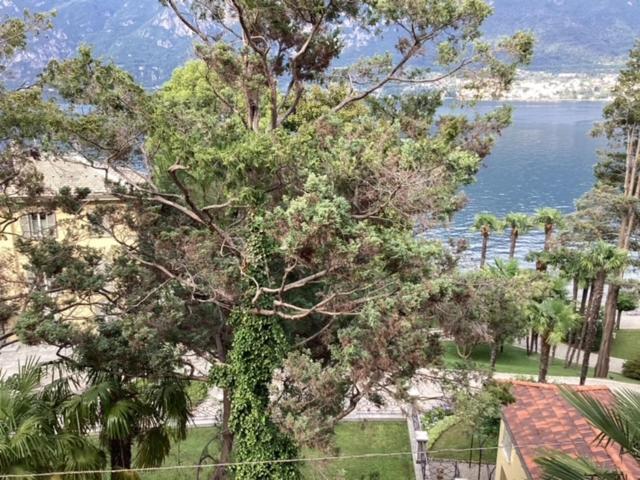 Wonderful Lake Front Appartment Near Bellagio Limonta Zewnętrze zdjęcie
